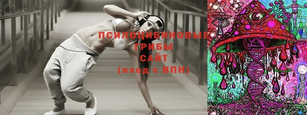 дмт Алексеевка
